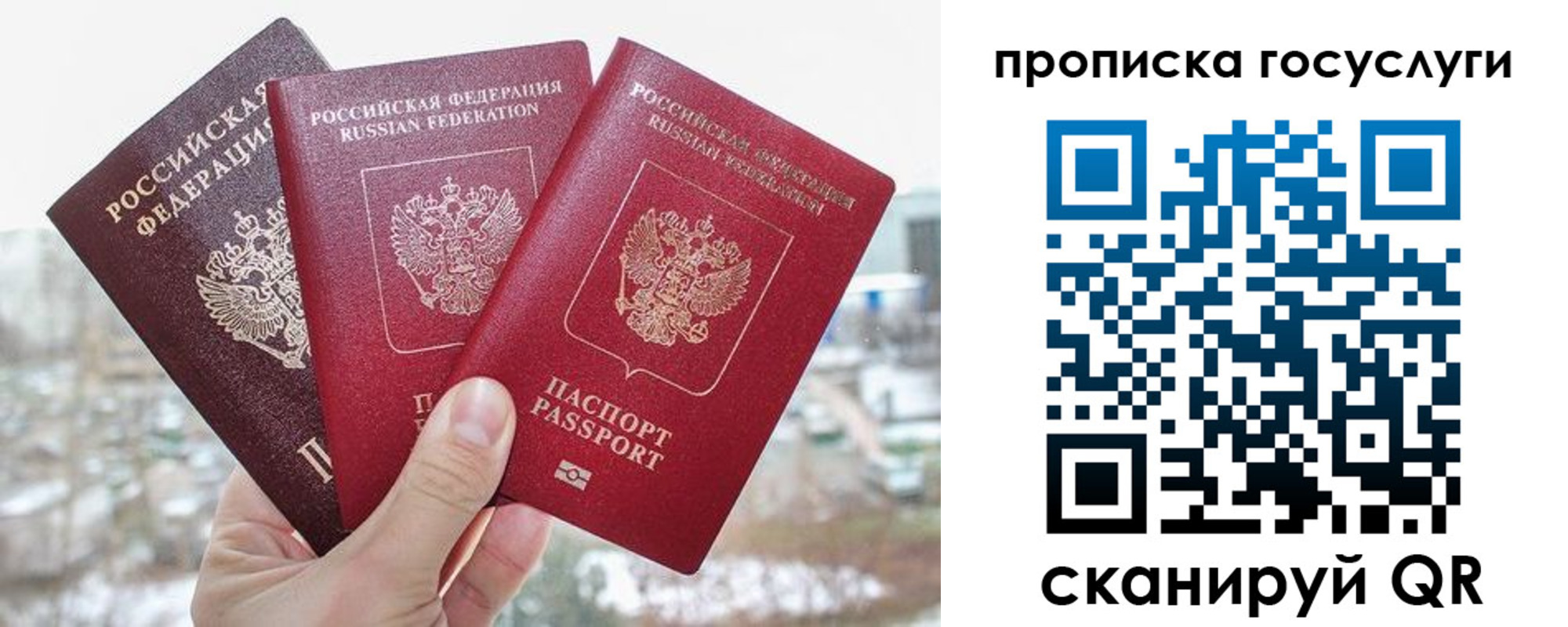 прописка законно в Шумихе
